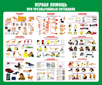 С20-1 Стенд Оказание первой помощи при ЧС (670х800 мм, пластик ПВХ 3 мм, Прямая печать на пластик) - Стенды - Стенды по первой медицинской помощи - Магазин охраны труда и техники безопасности stroiplakat.ru